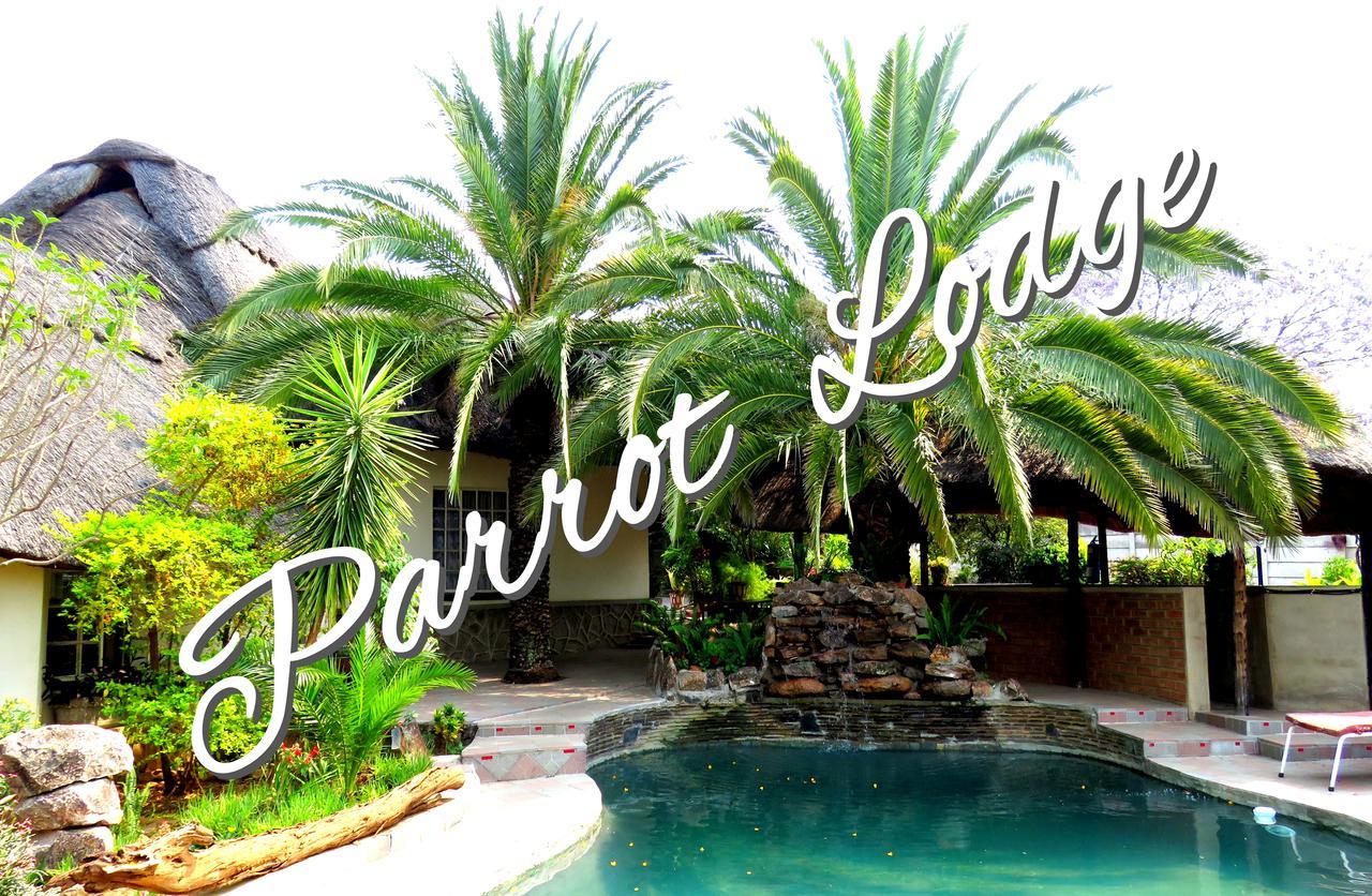 Parrot Lodge 불라와요 외부 사진